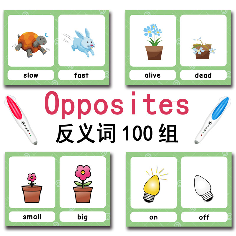 แฟลชการ์ดคำศัพท์ภาษาอังกฤษ 100 - English Kids Education บทวิจารณ์และราคา