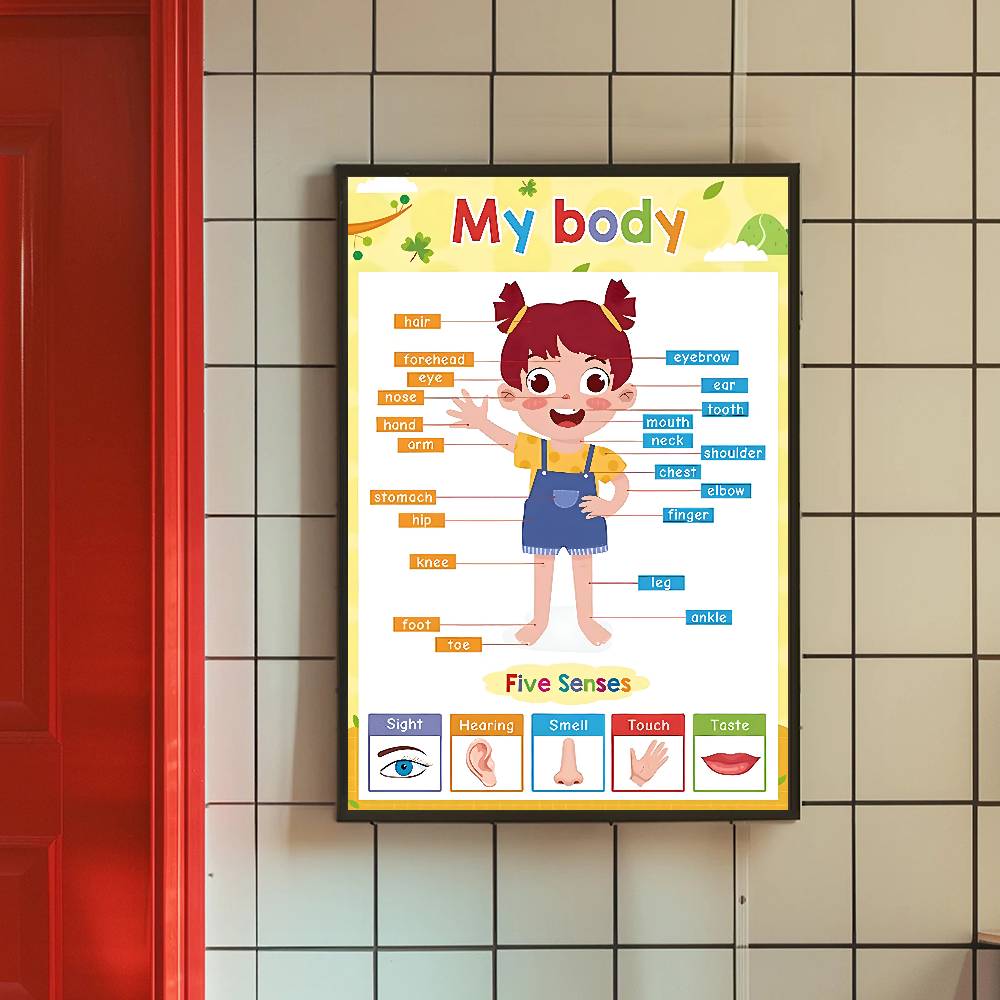 โปสเตอร์กระดาษด้านสีสันสดใสสำห - Kids Education Wallpaper บทวิจารณ์และราคา