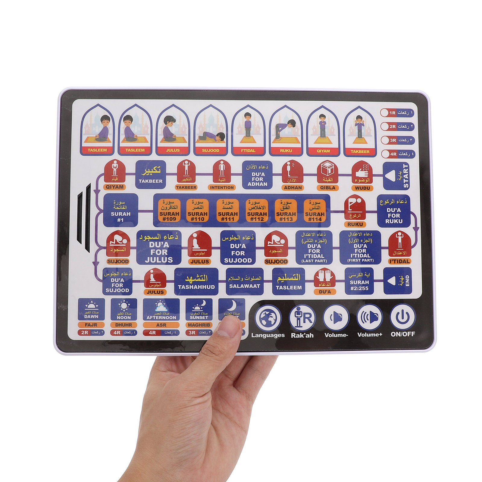 เครื่องเรียนรู้ภาษาอาหรับสำหรั - Kids Free Quran Education บทวิจารณ์และราคา